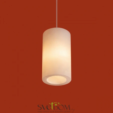 Подвесные светильники Freya FR5592PL-01BS от Магазина Svetdom.by