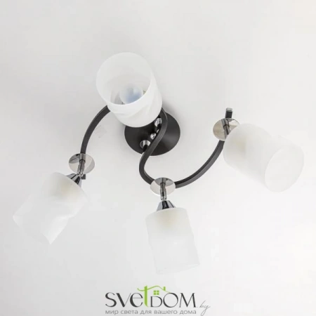 Люстры потолочныеCL119241 CITILUX | Svetdom.by