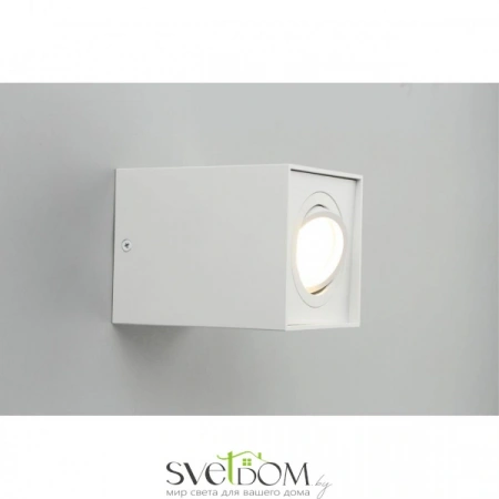 Накладные светильники Omnilux OML-101109-01 от Магазина Svetdom.by