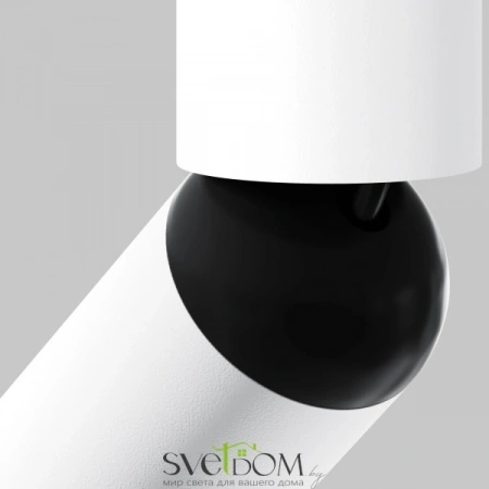 Потолочные светильники Maytoni C142CL-6W4K-W от Магазина Svetdom.by