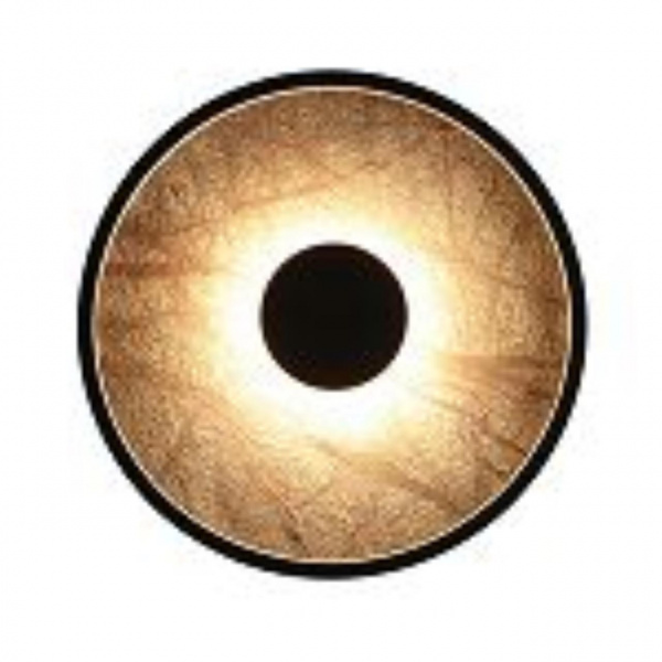 Настенные светильники 4445-2W Favourite | Svetdom.by