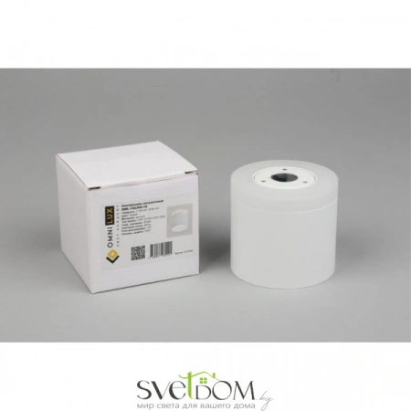 Накладные светильники Omnilux OML-102309-16 от Магазина Svetdom.by