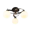 Люстра потолочная Omnilux  OML-25407-03 Omnilux