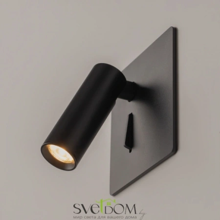 Настенные светильники C040WL-L3B3K Maytoni | Svetdom.by