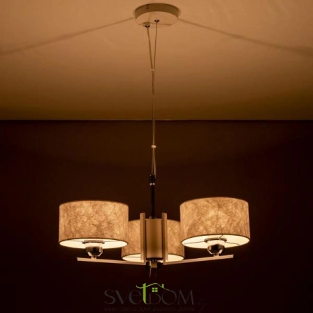 Люстры подвесныеCL469130 CITILUX | Svetdom.by
