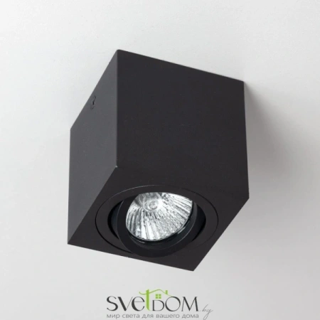 CL538213 CITILUX