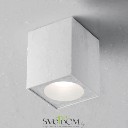 Потолочные светильники Maytoni C030CL-01W от Магазина Svetdom.by