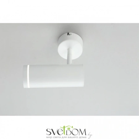 Настенно-потолочные светильники Omnilux OML-102219-12 от Магазина Svetdom.by