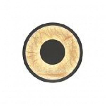 Настенные светильники 4445-1W Favourite | Svetdom.by