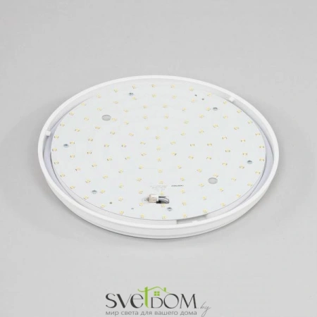 Накладные светильники CITILUX CL702161N от Магазина Svetdom.by