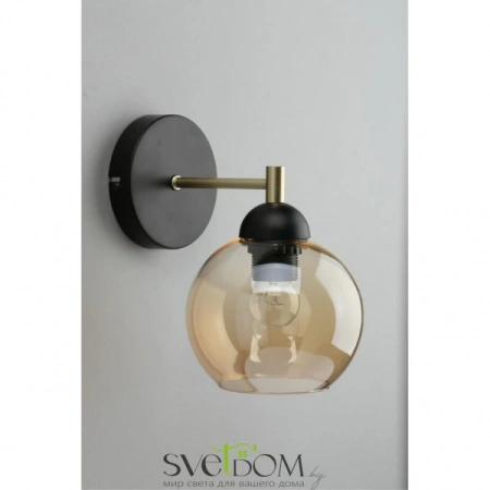 Настенные светильники APL.907.01.01 Aployt | Svetdom.by