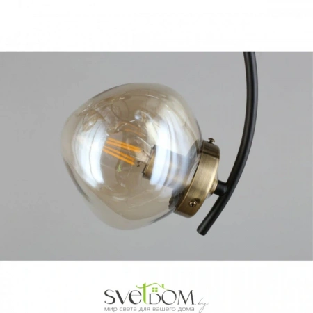 Люстры потолочныеOML-95307-06 Omnilux | Svetdom.by