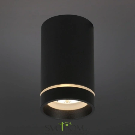 Накладные светильники Aployt APL.0053.19.10 от Магазина Svetdom.by