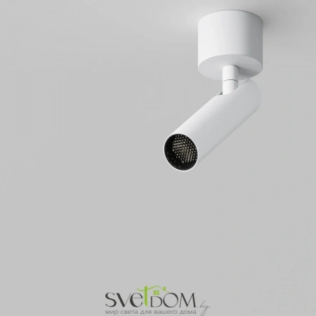 Потолочные светильники Maytoni C141CL-L125-6W4K-W от Магазина Svetdom.by