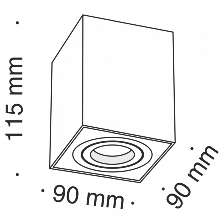 Потолочные светильники Maytoni C017CL-01S от Магазина Svetdom.by