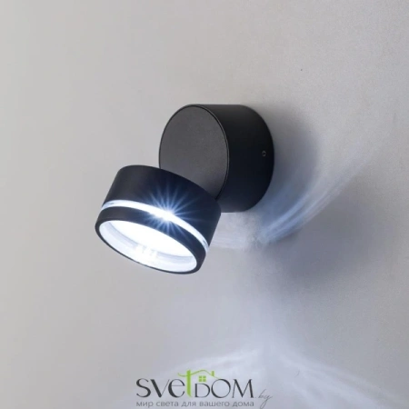 Citilux CLU0008R LED Уличный светильник поворотный Графит CITILUX