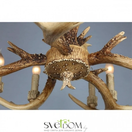 Люстры подвесныеOML-52003-10 Omnilux | Svetdom.by