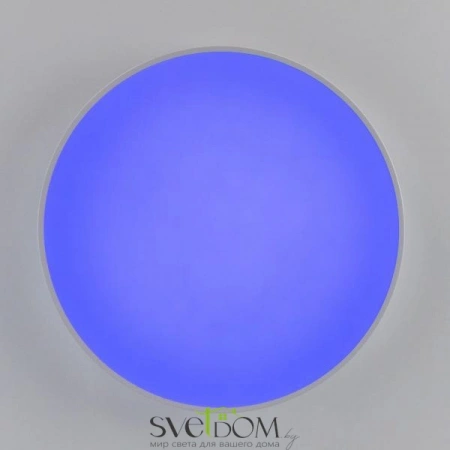 Потолочные светильники CITILUX CL72495G0 от Магазина Svetdom.by