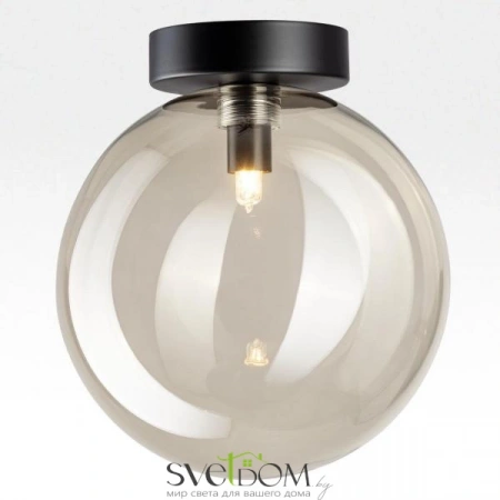 Накладные светильники CITILUX CL202511 от Магазина Svetdom.by