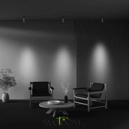 Потолочные светильники Maytoni C055CL-L12W2.7K-W-PT от Магазина Svetdom.by