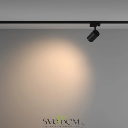 TR029-3-10W3K-W-B Maytoni