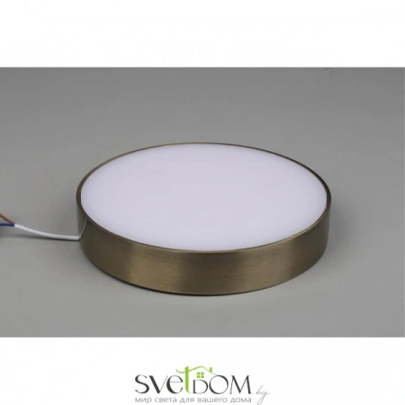 Настенно-потолочные светильники Aployt APL.0114.29.24 от Магазина Svetdom.by