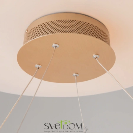 Подвесные светильники Maytoni MOD017PL-L50MG от Магазина Svetdom.by