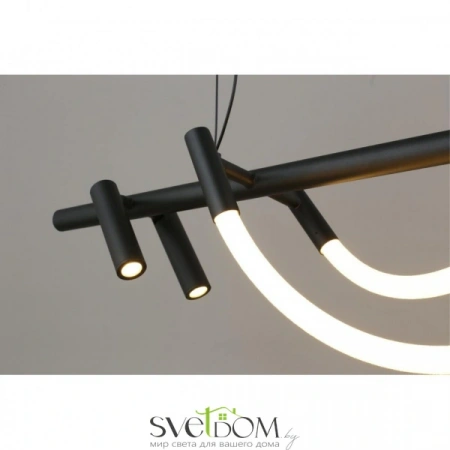 Люстры подвесныеAPL.773.03.69 Aployt | Svetdom.by