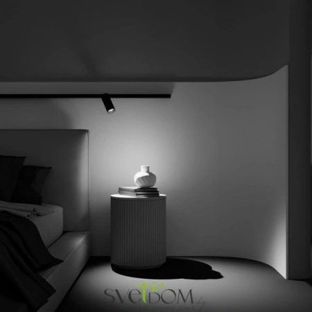 TR032-2-20W2.7K-M-B Maytoni