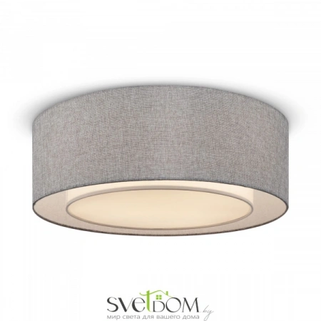 Потолочные светильники Maytoni MOD613CL-04GR от Магазина Svetdom.by