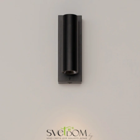 Настенные светильники C077WL-L3B3K Maytoni | Svetdom.by