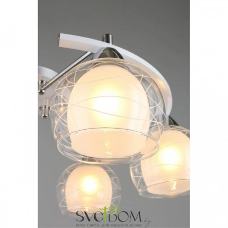 Люстры потолочныеOML-28313-06 Omnilux | Svetdom.by