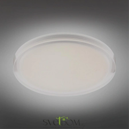 Накладные светильники Aployt APL.0066.09.12 от Магазина Svetdom.by