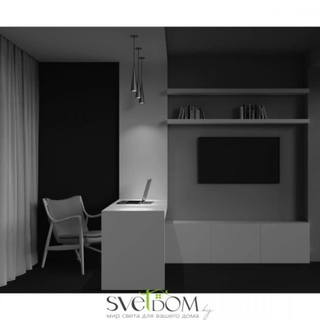 Подвесные светильники Maytoni P318-PL-01-N от Магазина Svetdom.by