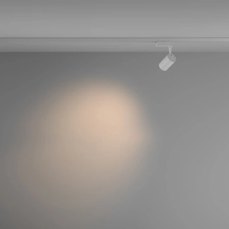 TR003-1-6W3K-M-W Maytoni