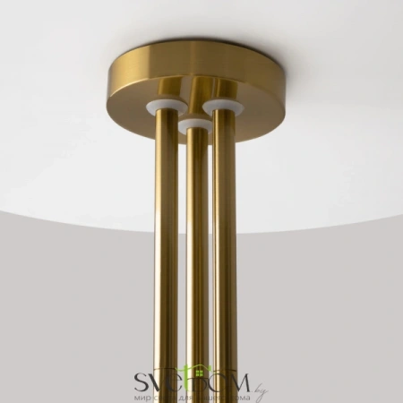 Подвесные светильники Maytoni MOD333PL-06BS от Магазина Svetdom.by