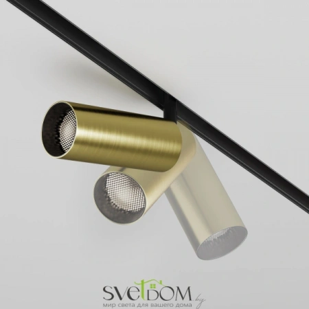 TR032-2-12W4K-M-BBS Maytoni