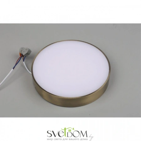 Настенно-потолочные светильники Aployt APL.0113.29.24 от Магазина Svetdom.by