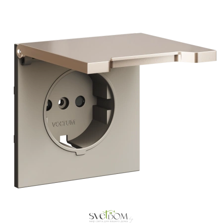 Накладка для розетки с заземлением и крышкой Voltum VLSM000810 S70 METAL, платина Voltum VLSM000810