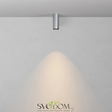 Потолочные светильники Maytoni C056CL-L12W3K-W-PT от Магазина Svetdom.by