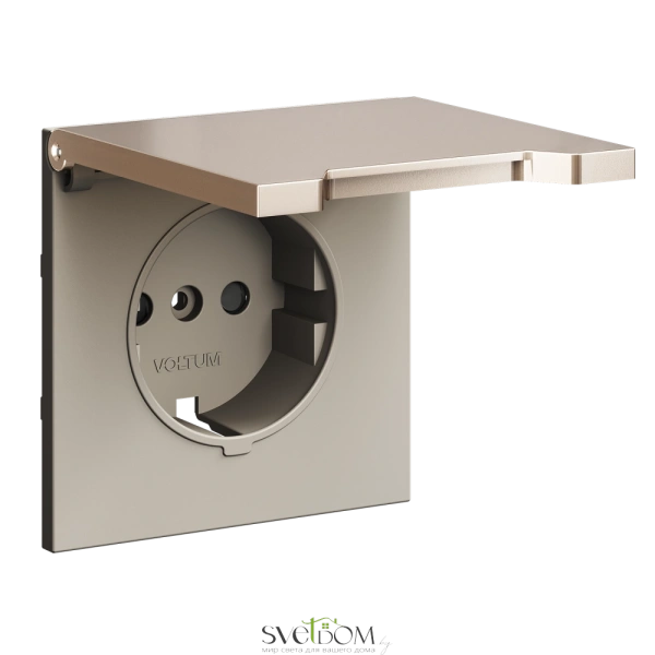 Накладка для розетки с заземлением и крышкой Voltum VLSM000810 S70 METAL, платина Voltum VLSM000810