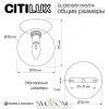 Накладные светильники CITILUX CL102513 от Магазина Svetdom.by