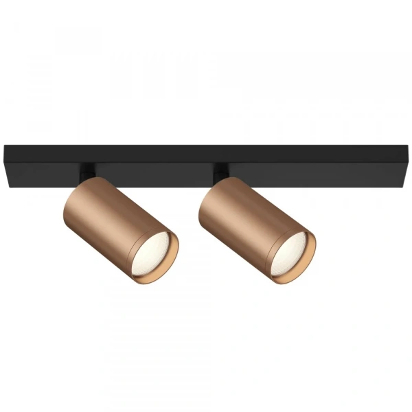 Потолочный светильник (Набор) Technical C051CL-02BC