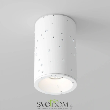 Потолочные светильники Maytoni C029CL-01-S-W от Магазина Svetdom.by