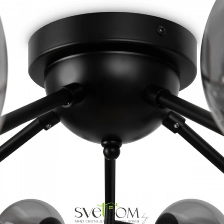 Потолочные светильники Maytoni MOD545CL-20B от Магазина Svetdom.by