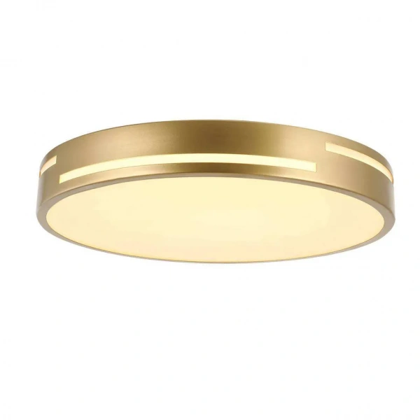 Потолочные светильники Favourite 2745-2C от Магазина Svetdom.by