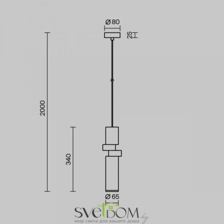 Подвесные светильники Maytoni MOD303PL-01CFL2 от Магазина Svetdom.by
