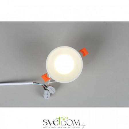 Накладные светильники Omnilux OML-102709-01 от Магазина Svetdom.by