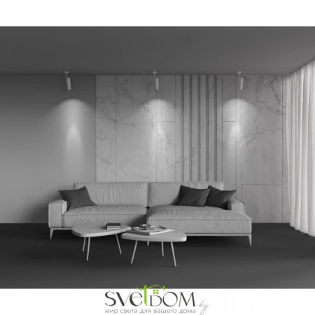 Потолочные светильники Maytoni C020CL-01W от Магазина Svetdom.by