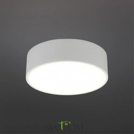 Настенно-потолочные светильники Aployt APL.0114.09.12 от Магазина Svetdom.by